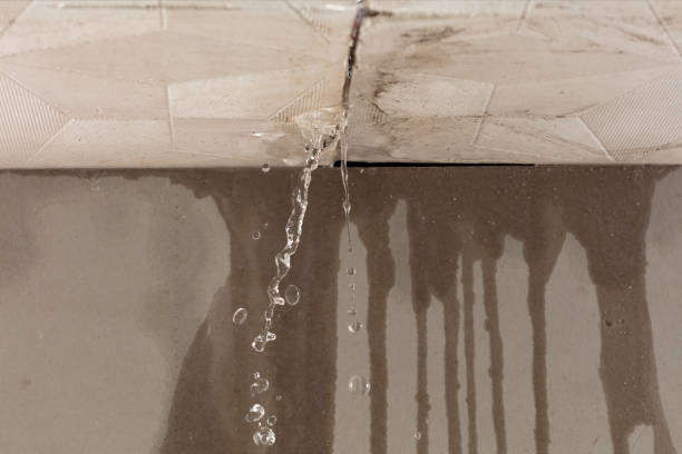 Professional Burst Pipe Cleanup technician working in Dale, TX